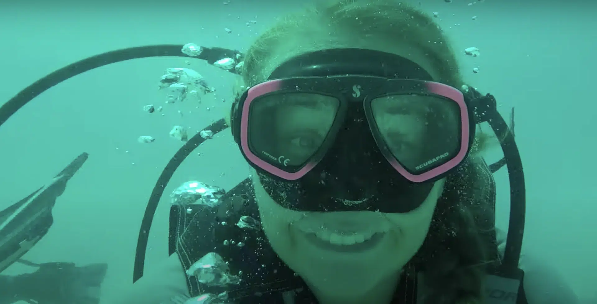 Discover the World with TEFL 🌏