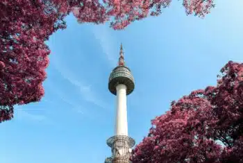 how to work in south korea as foreigner