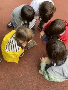 Students in Turkey Perlie